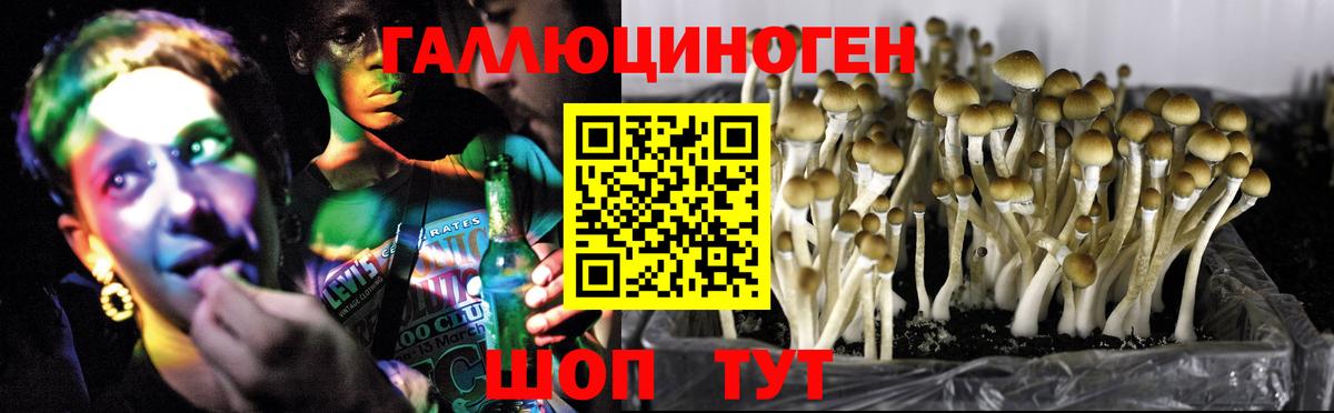 Хабаровск  Псилоцибиновые грибы мухоморы  Вход с VPN 